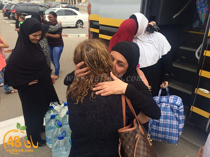 mo3tmren yaffa 2 (4).jpg